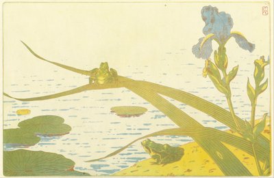 Frogs by Charles Louis Houdard
