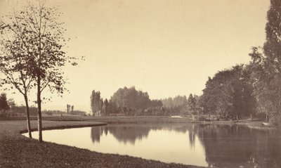 Bois de Boulogne by Charles Marville