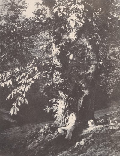 Man Lying at the Foot of a Chestnut Tree, 1850-53 by Charles Marville