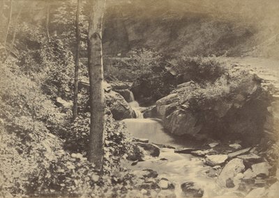 The Swiss Valley at St. Goarshausen by Charles Marville
