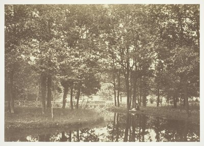 Untitled by Charles Marville