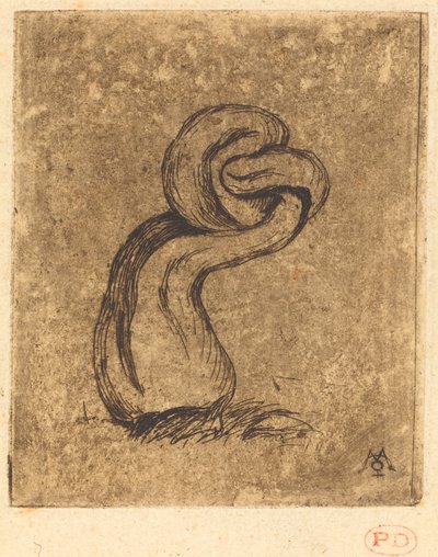 The Sickly Cryptogam by Charles Meryon