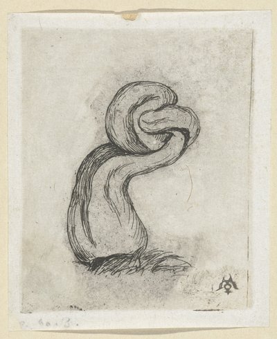 Deformed Mushroom (Cryptogamae) by Charles Meryon