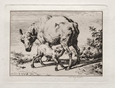 The Ewe with Two Lambs by Charles Meryon