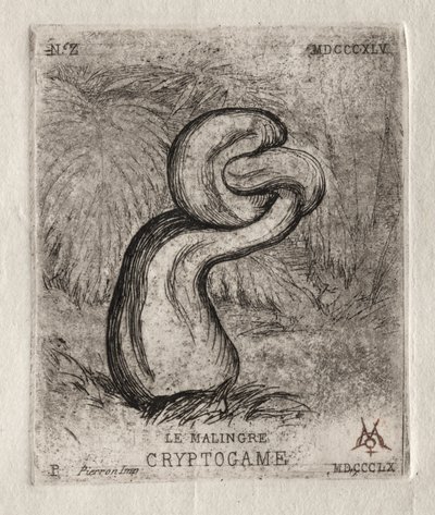 The Sickly Cryptogam by Charles Meryon