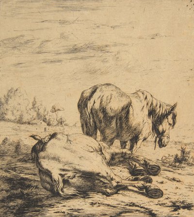 Two Horses by Charles Meryon