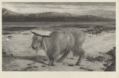 The Scapegoat by Charles Mottram after William Holman Hunt