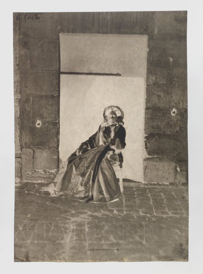 Portrait of an Unknown Seated Woman by Charles Nègre