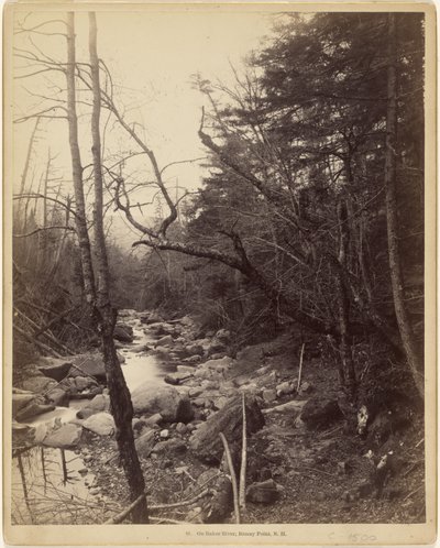 On Baker River, Breezy Point, N.H. by Charles P. Hibbard