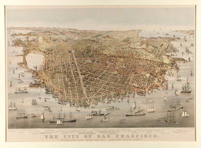 The City of San Francisco - Bird by Charles Parsons