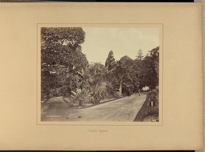 Botanic Gardens by Charles Percy Pickering