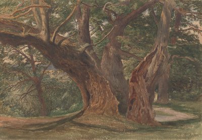 Trees in a Landscape by Charles Reginald Aston