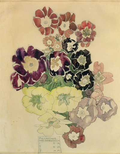 Polyanthus, Walberswick, 1915 by Charles Rennie Mackintosh