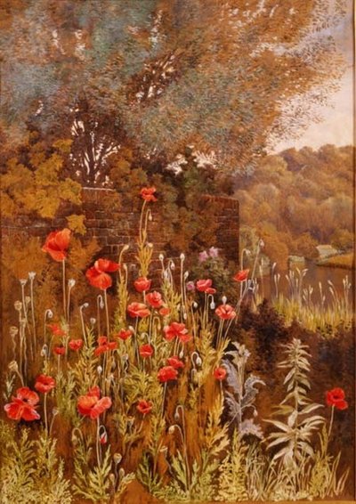 Poppies on a River Bank by Charles Robertson