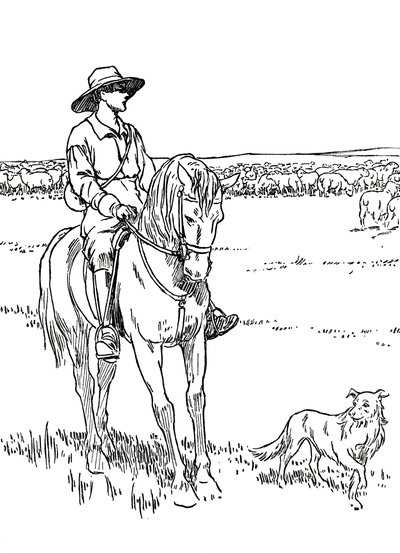 A Sheep-Station in Australia by Charles Robinson