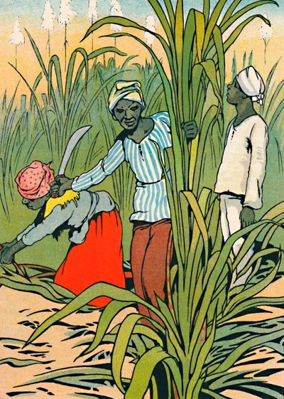 At Work Among The Sugar-Canes, 1912 by Charles Robinson