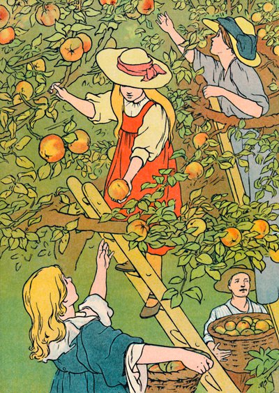 Picking the Fruit, 1912 by Charles Robinson