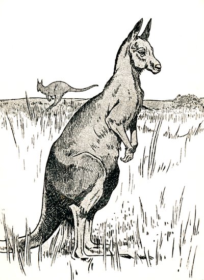 The Kangaroo, 1912 by Charles Robinson