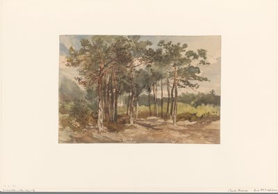 Group of Trees in the Forests near Driebergen by Charles Rochussen