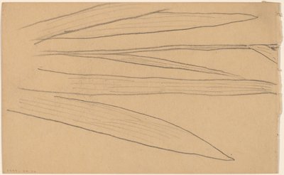 Study of a Flower by Charles Sprague Pearce