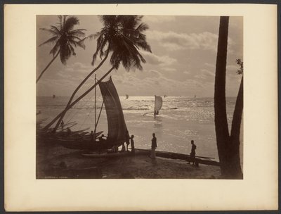 Ceylon by Charles T. Scowen