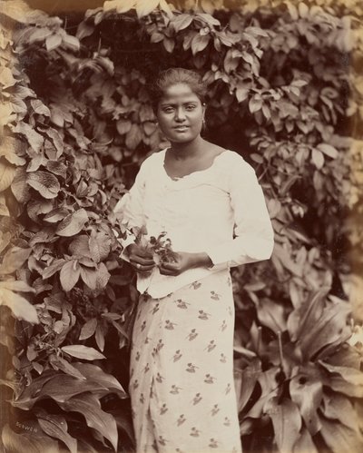 Singhalese by Charles T. Scowen