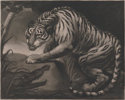 Tiger and Crocodile by Charles Turner
