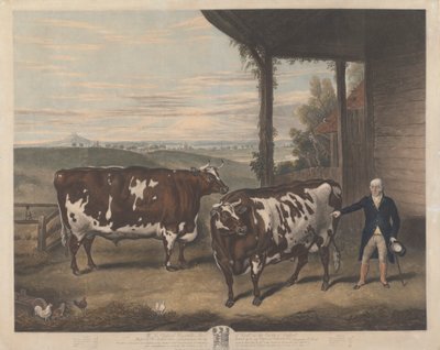 Two Durham Oxen by Charles Turner