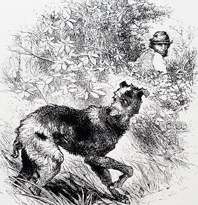 A Poacher with His Lurcher by Charles Whymper