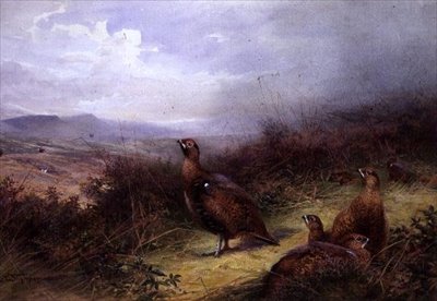 Grouse in the Highlands by Charles Whymper