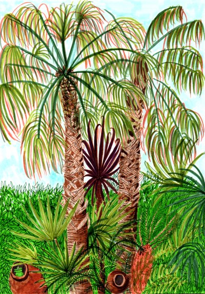 Barcelona Palms by Charlotte Orr