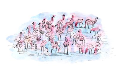 Flamingos 2, 2018 by Charlotte Orr