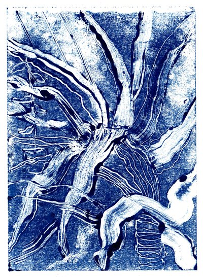 Inky Plants no.2 by Charlotte Orr