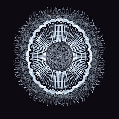 Plant Cell 0.2 by Charlotte Orr