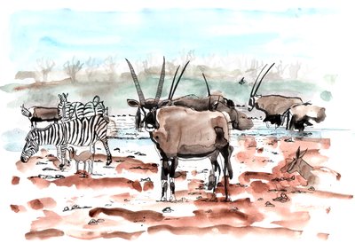 Safari, 2018 by Charlotte Orr
