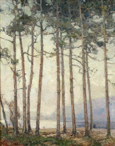 Phantom Lake by Chauncey Foster Ryder