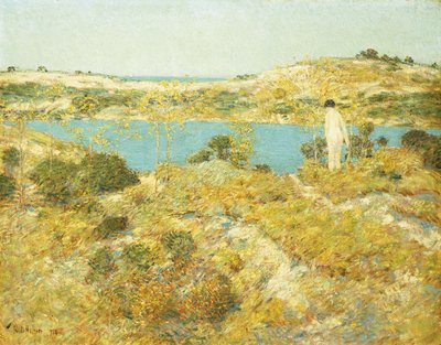 Dune Pool by Childe Frederick Hassam