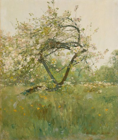 Peach Blossoms, Villiers-le-Bel by Childe Frederick Hassam