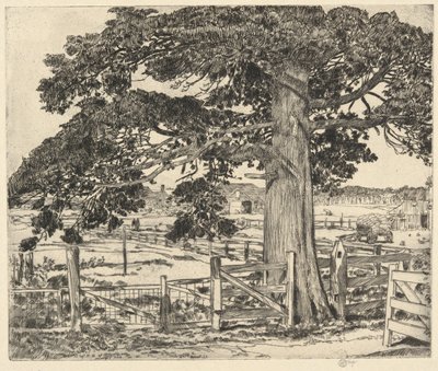 Big Cedar, Wainscott, L. I., 1929 by Childe Hassam