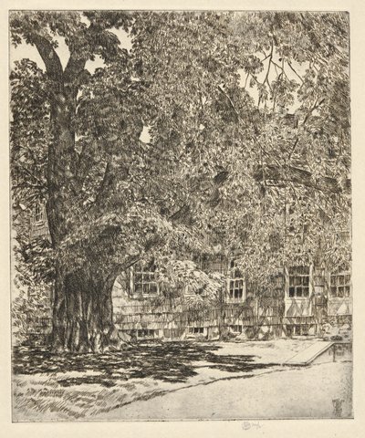 Giant Elm by Childe Hassam
