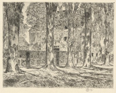 Village Elms, 1923 by Childe Hassam
