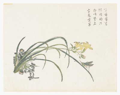 Mustard Seed Garden by Chinese School