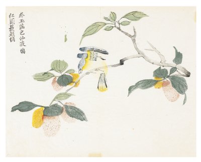 Mustard Seed Garden by Chinese School