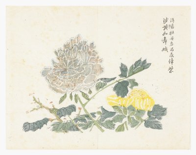 Mustard Seed Garden by Chinese School