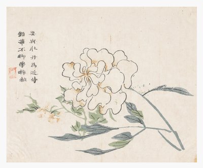 Mustard Seed Garden by Chinese School