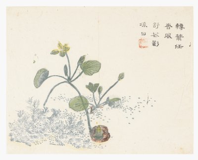 Mustard Seed Garden by Chinese School