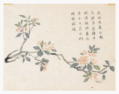 Mustard Seed Garden by Chinese School