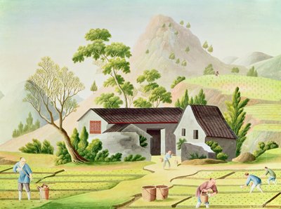 Peasants in the Paddy Fields by Chinese School
