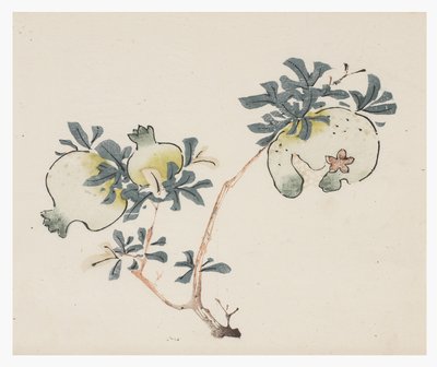 Ten Bamboo Series, 18th century by Chinese School