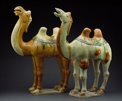 Two camels, Tang Dynasty by Chinese School
